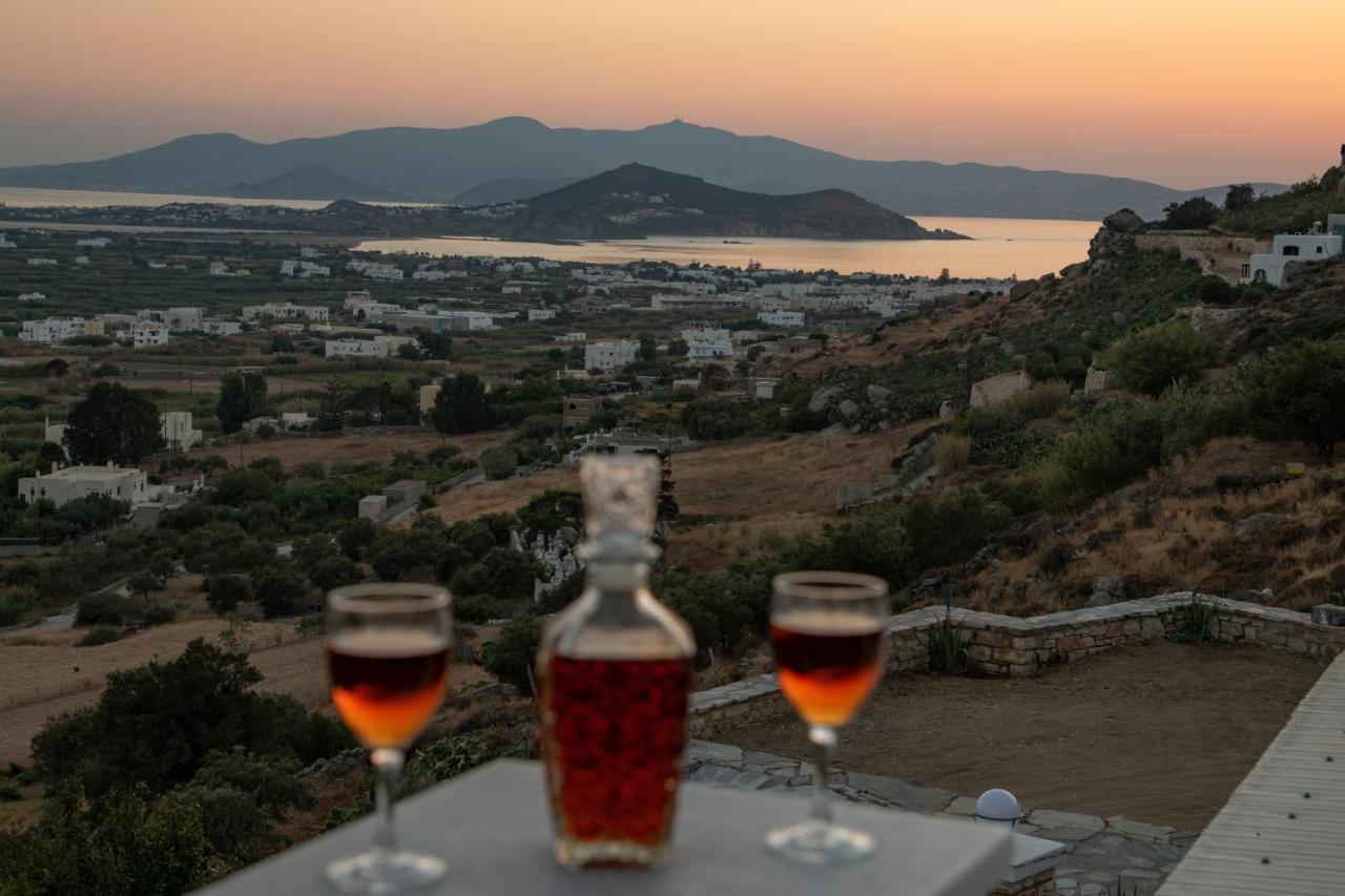Alta Vista Naxos Aparthotel Naxos City Eksteriør bilde
